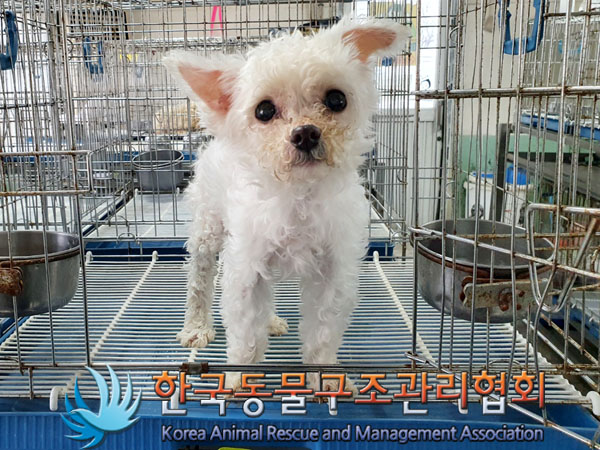 한국동물구조관리협회_411315202300280
